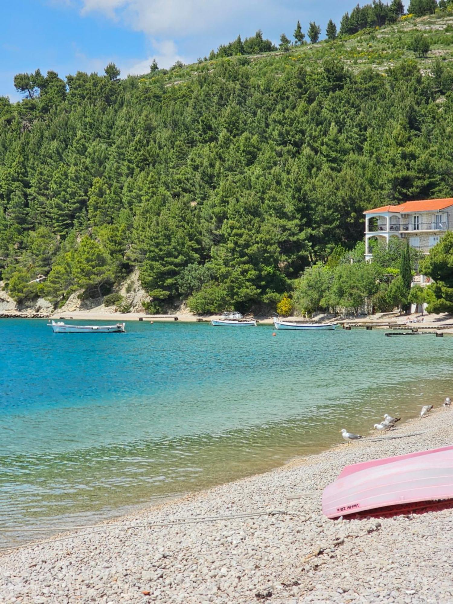 Villa Roing S Stanici Dış mekan fotoğraf