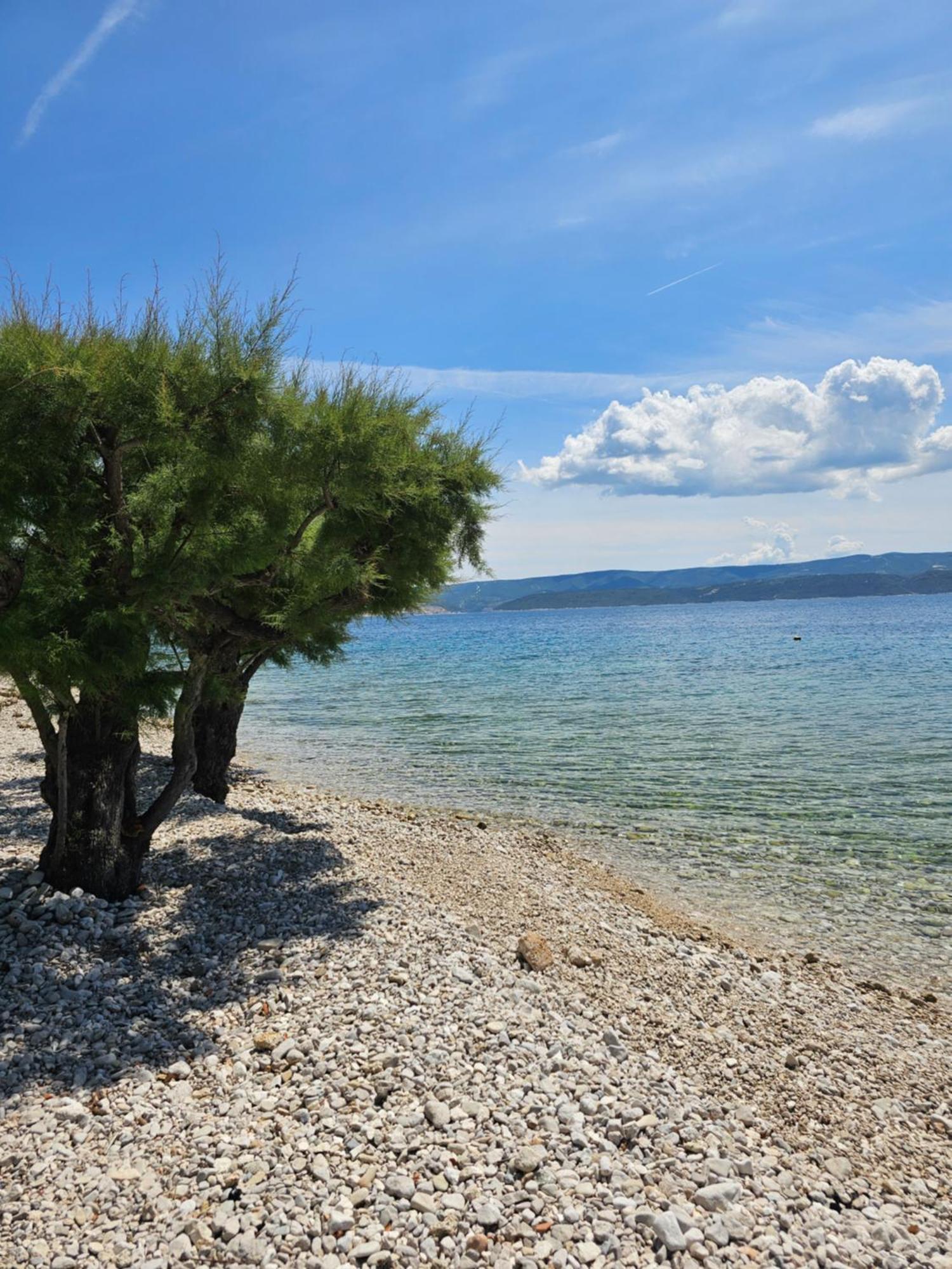 Villa Roing S Stanici Dış mekan fotoğraf