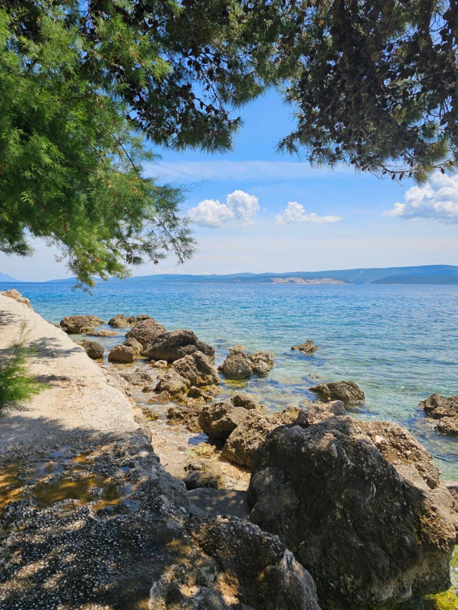Villa Roing S Stanici Dış mekan fotoğraf